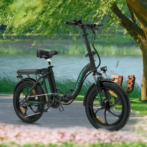 Folding E-Bikes